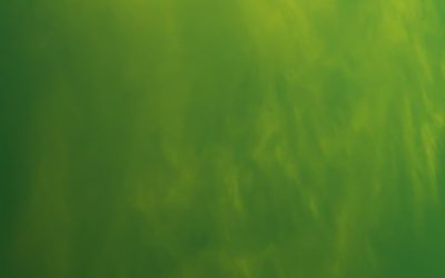 What Is Real Can Never Be Lost